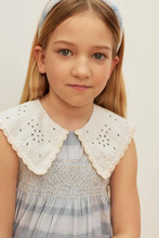 Load image into Gallery viewer, Bluebell Lace Collar Dress
