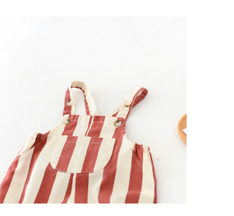 Teddy Pocket Striped Overalls